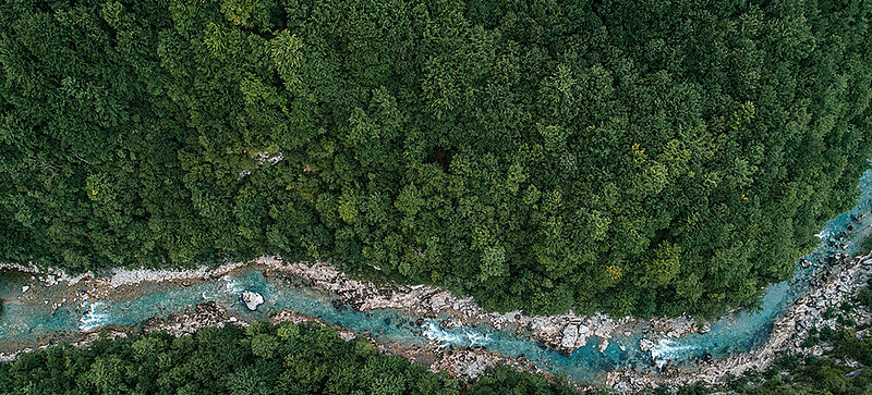 Ein Fluss durchzieht ein Waldgebiet